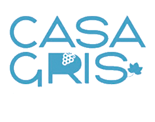 Casa Gris